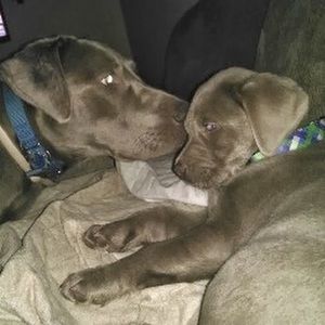 Meet your Posher, Ailish